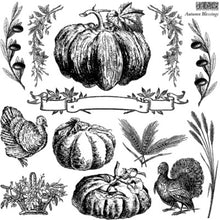 Load image into Gallery viewer, Autumn Blessings Stamp™ by IOD (12"x12")