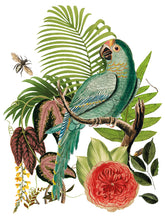 Load image into Gallery viewer, Bungalow IOD Transfer 12"x16" Pad (8 Sheets)