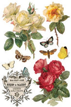 Load image into Gallery viewer, By Any Other Name Transfer™ by IOD (Pad of 8 - 8"x12" sheets)