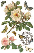 Load image into Gallery viewer, By Any Other Name Transfer™ by IOD (Pad of 8 - 8"x12" sheets)