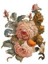Load image into Gallery viewer, Joie De Roses Decor Transfer™ by IOD (Pad of 8 - 12"x16" sheets) - Iron Orchid Designs