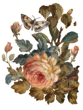 Load image into Gallery viewer, Joie De Roses Decor Transfer™ by IOD (Pad of 8 - 12"x16" sheets) - Iron Orchid Designs