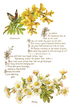 Load image into Gallery viewer, Lover of Flowers Decor Transfer™ by IOD (Pad of 8 - 8"x12" sheets) - Iron Orchid Designs