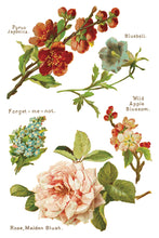 Load image into Gallery viewer, Lover of Flowers Decor Transfer™ by IOD (Pad of 8 - 8"x12" sheets) - Iron Orchid Designs