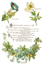 Load image into Gallery viewer, Lover of Flowers Decor Transfer™ by IOD (Pad of 8 - 8"x12" sheets) - Iron Orchid Designs