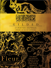 Load image into Gallery viewer, Curated Signage Gilded Decor Transfer™ by IOD (Pad of 4 - 12"x16" sheets)