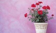 Load image into Gallery viewer, Ditsy Blooms Decor Paint Inlay™ by IOD (Pad of 8 - 12"x16" sheets)