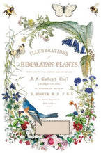 Load image into Gallery viewer, Flora Greca Transfer™ by IOD (Pad of 8 - 8"x12" sheets)