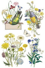 Load image into Gallery viewer, Flora Greca Transfer™ by IOD (Pad of 8 - 8"x12" sheets)