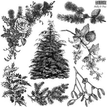 Load image into Gallery viewer, Holly & Pine Stamp™ by IOD (12"x12")