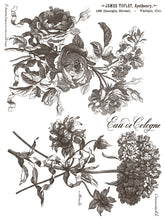 Load image into Gallery viewer, Floriography Decor Paint Inlay™ by IOD (Pad of 8 - 12"x16" sheets)