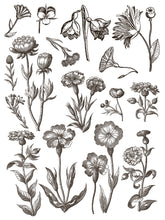 Load image into Gallery viewer, Floriography Decor Paint Inlay™ by IOD (Pad of 8 - 12"x16" sheets)