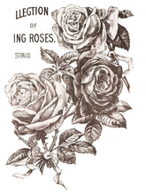 Load image into Gallery viewer, May's Roses IOD Transfer 12"x16" Pad (4 Sheets)
