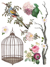 Load image into Gallery viewer, Menagerie IOD Transfer 12"x16" Pad (8 Sheets)