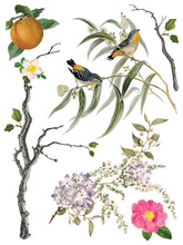 Load image into Gallery viewer, Menagerie IOD Transfer 12"x16" Pad (8 Sheets)