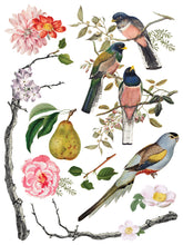 Load image into Gallery viewer, Menagerie IOD Transfer 12"x16" Pad (8 Sheets)