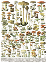 Load image into Gallery viewer, Millot's Pages IOD Transfer 12"x16" Pad (8 Sheets)