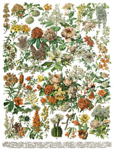 Load image into Gallery viewer, Millot's Pages IOD Transfer 12"x16" Pad (8 Sheets)