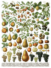 Load image into Gallery viewer, Millot's Pages IOD Transfer 12"x16" Pad (8 Sheets)