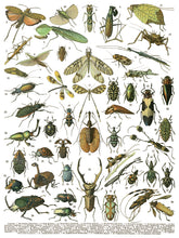 Load image into Gallery viewer, Millot's Pages IOD Transfer 12"x16" Pad (8 Sheets)