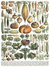 Load image into Gallery viewer, Millot's Pages IOD Transfer 12"x16" Pad (8 Sheets)