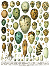 Load image into Gallery viewer, Millot's Pages IOD Transfer 12"x16" Pad (8 Sheets)