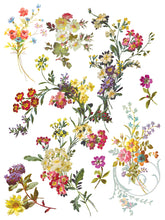 Load image into Gallery viewer, Saint Germain IOD Transfer 12"x16" Pad (8 Sheets)