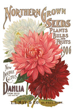 Load image into Gallery viewer, Seed Catalogue IOD Transfer 8"x12" Pad (8 Sheets)