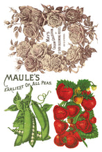 Load image into Gallery viewer, Seed Catalogue IOD Transfer 8"x12" Pad (8 Sheets)