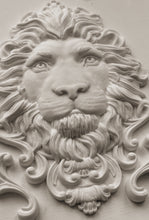 Load image into Gallery viewer, Leonidas Mould™ by IOD (5"x7")