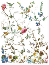 Load image into Gallery viewer, Lost Garden Transfer™ by IOD (Pad of 8 - 12"x16" sheets)