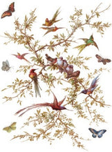 Load image into Gallery viewer, Madeleine Transfer™ by IOD (Pad of 8 - 12"x16" sheets)