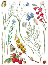 Load image into Gallery viewer, Marché Des Fleurs Transfer™ by IOD (Pad of 8 - 12"x16" sheets)