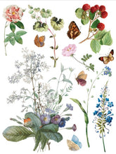 Load image into Gallery viewer, Marché Des Fleurs Transfer™ by IOD (Pad of 8 - 12"x16" sheets)