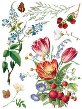 Load image into Gallery viewer, Marché Des Fleurs Transfer™ by IOD (Pad of 8 - 12"x16" sheets)