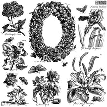 Load image into Gallery viewer, IOD Summer 2026 - Stamp Bundle