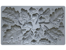 Load image into Gallery viewer, Oak Leaves & Acorns Mould™ by IOD (6"x10")