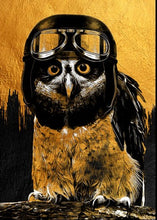 Load image into Gallery viewer, Owl - Mint by Michelle Decoupage Paper