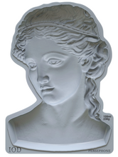 Load image into Gallery viewer, Persephone Mould™ by IOD (5"x7")
