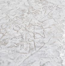 Load image into Gallery viewer, Polished Plaster by Annie Sloan (16 fl oz)