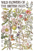 Load image into Gallery viewer, Primrose Isle Transfer™ by IOD (Pad of 8 - 8"x12" sheets)