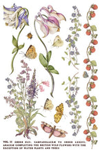 Load image into Gallery viewer, Primrose Isle Transfer™ by IOD (Pad of 8 - 8"x12" sheets)