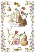 Load image into Gallery viewer, Primrose Isle Transfer™ by IOD (Pad of 8 - 8"x12" sheets)