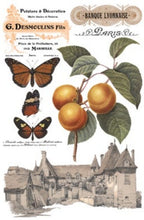 Load image into Gallery viewer, Saint Ouen Transfer™ by IOD (Pad of 8 - 8"x12" sheets)