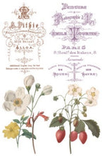 Load image into Gallery viewer, Saint Ouen Transfer™ by IOD (Pad of 8 - 8"x12" sheets)