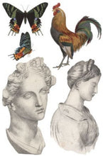 Load image into Gallery viewer, Saint Ouen Transfer™ by IOD (Pad of 8 - 8"x12" sheets)