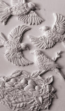 Load image into Gallery viewer, Sparrow's Nest 6X10 IOD Mould