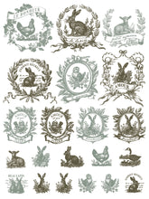 Load image into Gallery viewer, Spring Melody Decor Paint Inlay™ by IOD (Pad of 8 - 12"x16" sheets)