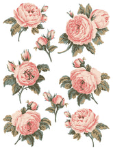 Load image into Gallery viewer, Spring Melody Decor Paint Inlay™ by IOD (Pad of 8 - 12"x16" sheets)