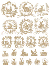 Load image into Gallery viewer, Spring Melody Decor Paint Inlay™ by IOD (Pad of 8 - 12"x16" sheets)